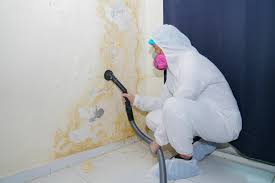 Reliable Diamond Bar, CA Mold Remediation Solutions